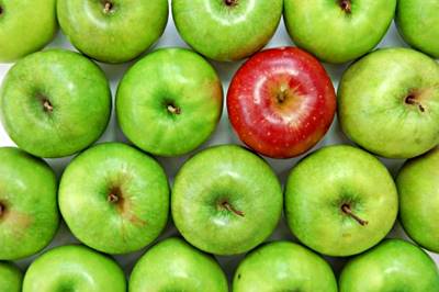 Essay vs Research Paper